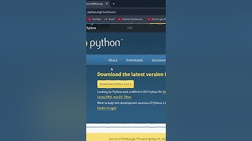 How to Install Python 3.13.1 on Windows 11 (2025)