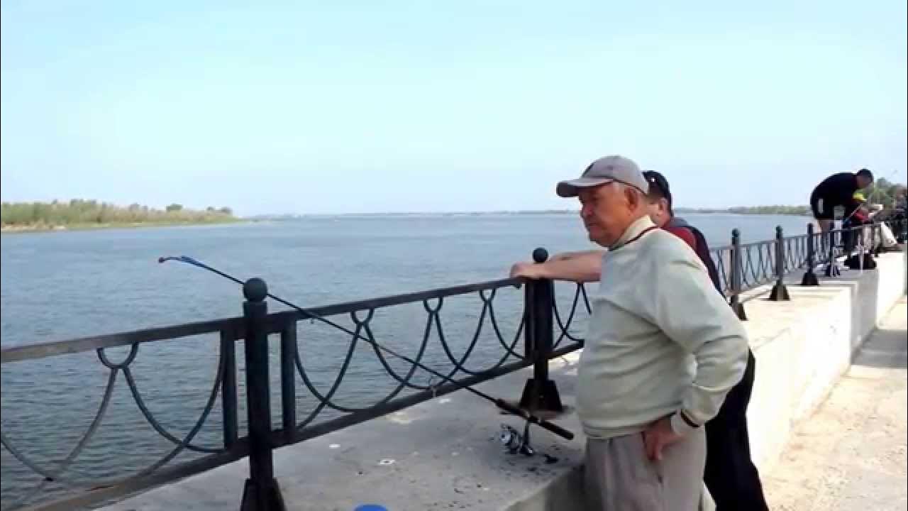 На что ловить на набережной