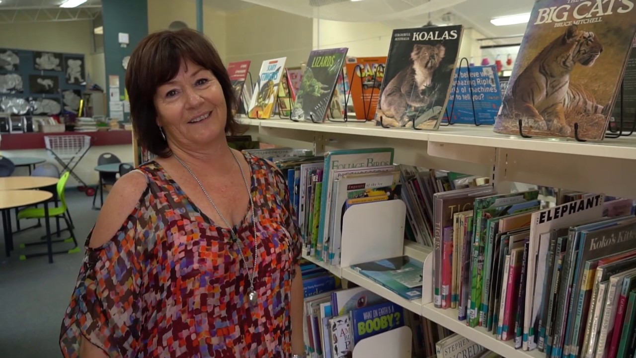 School Library: How to Find the Books You Are Looking for in the School ...