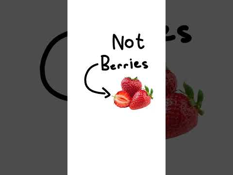 Fun Facts I