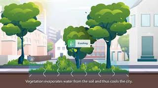 Eco-System-City Water, Green And Urban Cooling For Utrecht