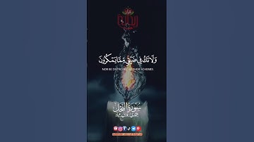 واصبر وما صبرك إلا بالله.. #فارس_عباد #سورة_النحل #ريحانة_قرآن #قرآن #تلاوات #quran #ستوريات #آيات