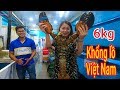 Xem con Tôm hùm Alaska khổng lồ nhất thế giới ở Sài Gòn như thế nào ???
