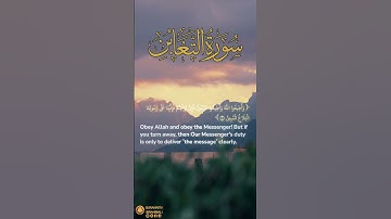 سورة التغابن آية ١٢-١٣ | ﴿ وأطيعوا الله وأطيعوا الرسول ﴾ | Surah At Taghabun 12-13