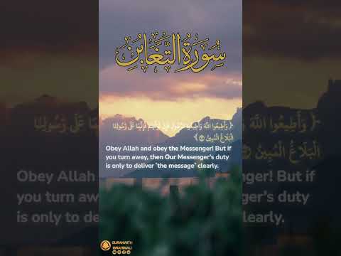 سورة التغابن آية ١٢ ١٣ وأطيعوا الله وأطيعوا الرسول    12 13