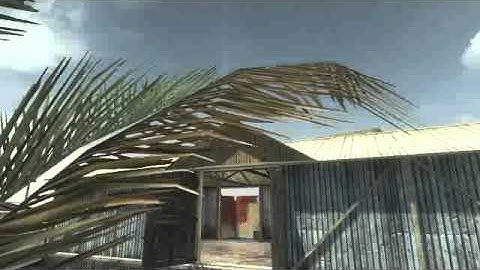 Call of duty black ops random tomahawk on Firing Range