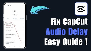 How To Fix CapCut Audio Delay (2025)