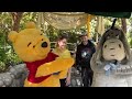 Winnie the Pooh and Eeyore Meet and Greet- Disneyland