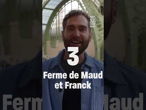 Bio XXL, ferme collective, lait de saison : top 3 des fermes qui pourraient changer l’agriculture 🌾