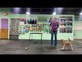 Faith - Counter surfing/Dumpster diving Tips (Part 1)