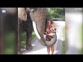 Sexy girl with elephant full nude video