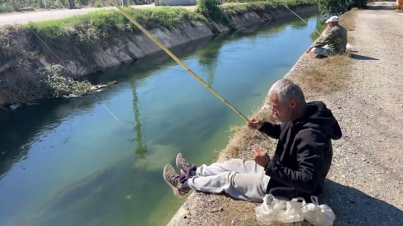 Irl stream Fishing 🇦🇱