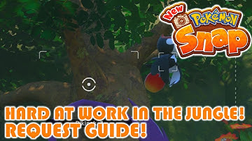 Hard at Work in the Jungle! Request Guide! - New Pokemon Snap!