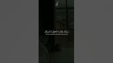 سورة القصص | القارئ : ياسر الدوسري Surat Al-Qasas for the reader: Yasser Al-Dosari 🤎.