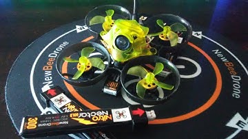 Newbeedrone Beebrain Brushless v2 Whoop Training