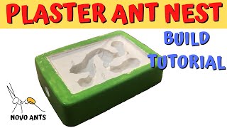 How to build an Ant Nest  Plaster Nest Build  Plaster Formicarium