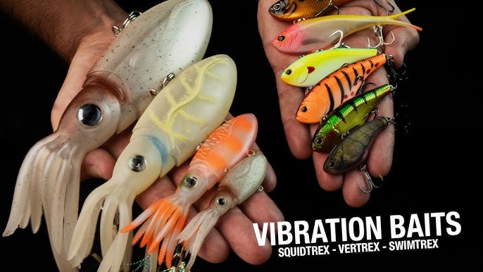 SOFT VIBE Storage Box  HOW TO STORE TPE fishing lures - Squidtrex