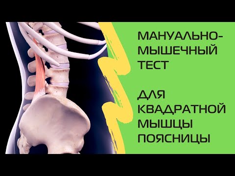 Мануально-мышечный тест для квадратной мышцы поясницы