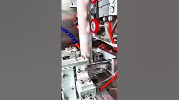 inner and outer triangle pyramid nylon tea bag packing machine #packingmachine #machine #factory