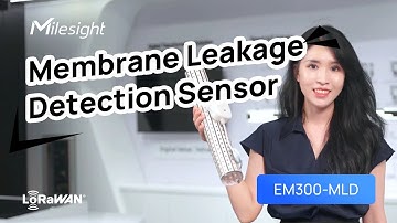 Water Leak Detector with a Membrane Featuring LoRaWAN