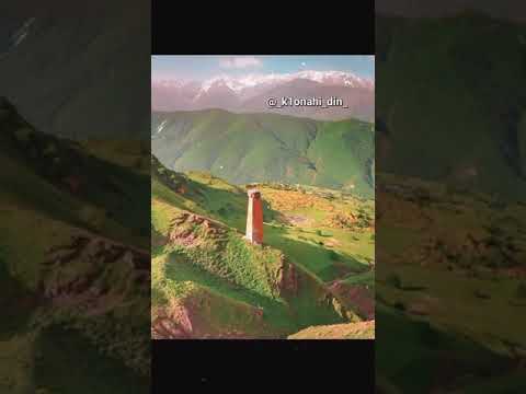 Нохчийн мотт /