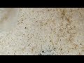 The Secret To Making Chicken Under Nomadic Rice A Taste Of A Hard Life The Secret To Making Chicken Under Nomadic Rice A Taste Of A Hard Life
