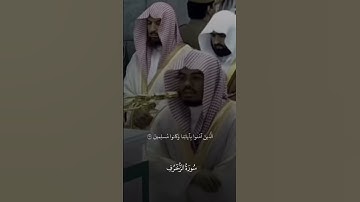 ما تيسر من سورة الزخرف #قرآن #لايك #تلاوة_خاشعة #اكسبلور #قران_كريم #راحة_نفسية