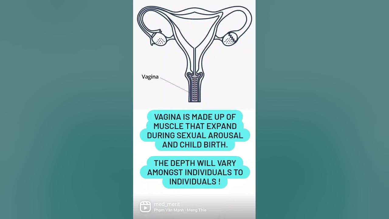 How deep is a vagina youtube