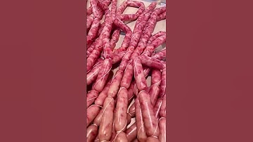 Automatic Sausage Casing Tying Machine Manual Sausage Linker Machine Sausage Twisting Machine