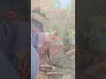 #amazing #automobile #lifeisbutadream #funny #blacksmith #ihavethisthingwithplants #hardwork