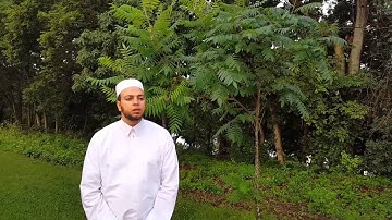 ما تيسر من سورة الزخرف - القارئ محمود الدميري