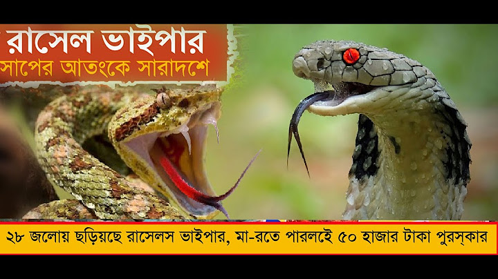 ২৮ জেলায় ছড়িয়েছে রাসেল'স ভাইপার, মা রতে পারলেই ৫০ হাজার টাকা পুরস্কার