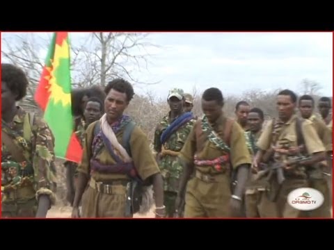 Oromo Liberation Front Army WBO