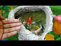 Catch Cute Chickens, Colorful Chickens, Rabbits, Cats, Swans,Ducks,Betta Fish,Turtle,Cute Animals
