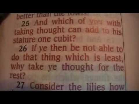 Luke 12 Holy Bible (King James)