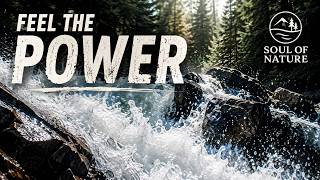 Feel the Power of the Waterfall Immersive Nature Sounds 4K