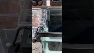 Automatically Egg Catcher Collector Hang On Box