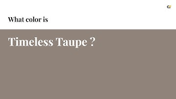 Timeless Taupe color #908379 hex color - Brown color - Cool color 908379