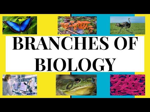 WHAT ARE THE DIFFERENT BRANCHES OF BIOLOGY? | COMMON BRANCHES OF BIOLOGY