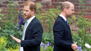 Prince William may consider reconciliation with Harry under ‘strict conditions’