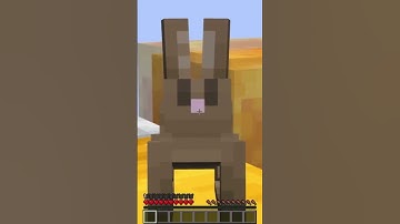 Tommyinnits bunny commits suicide