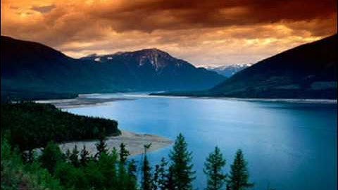 الشيخ محمد اللحيدان - تلاوة قمة في الخشوع Quran