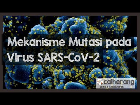 Video: Virus apakah yang menyebabkan covid 19?