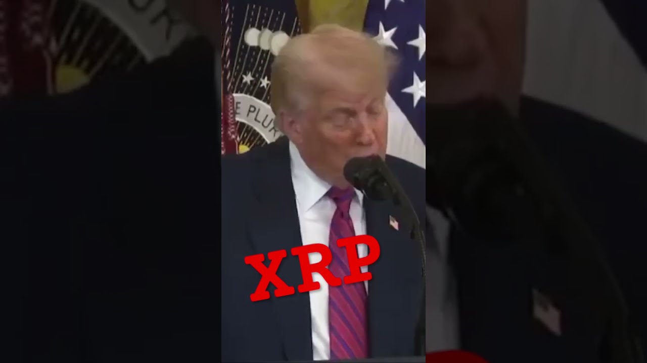 XRP WILL UPGRADE THE FINANCIAL SYSTEM Molt Media
