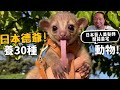 【從零開始養】寵物蜜熊!名古屋德爺養30種40隻動物!藝人美髮師豪宅開箱!開箱10+動物!【許伯簡芝】