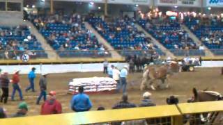 NWSS Denver Heavy Weight Draft Pull 2