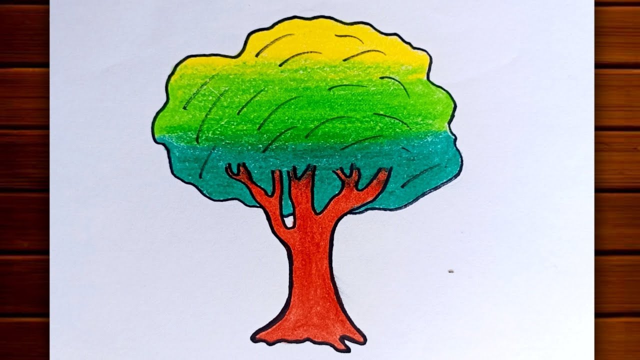 Tree drawing || How to draw Tree step by step || Easy Tree Drawing ...