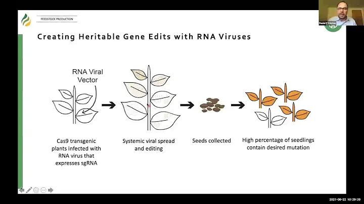 Bioenergy 101: Accelerating Plant Gene Editing