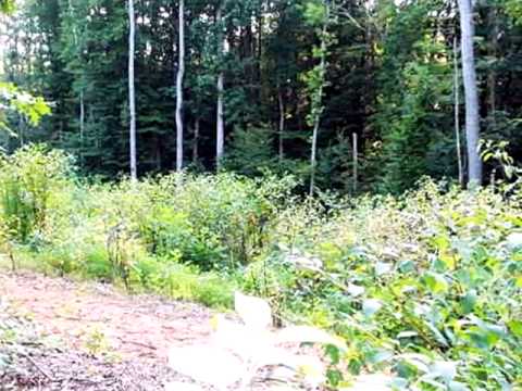 6 Glenora Dr, Clarksville, VA home video tour