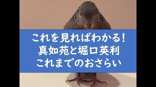 暇空茜の配信のサムネイル画像
